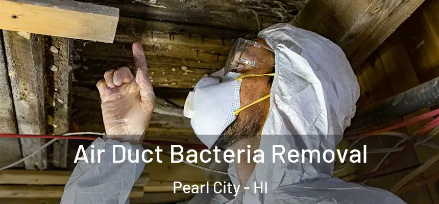  Air Duct Bacteria Removal Pearl City - HI