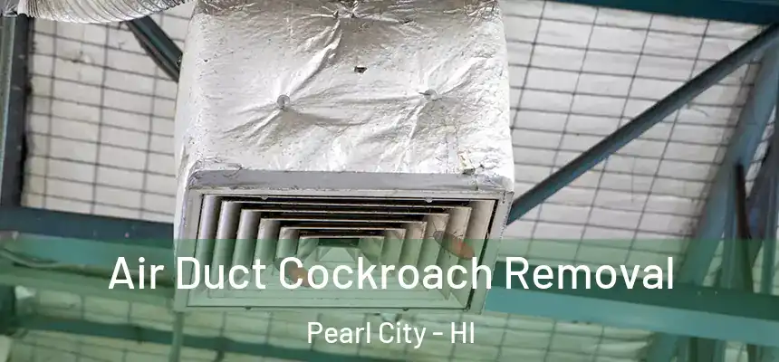  Air Duct Cockroach Removal Pearl City - HI