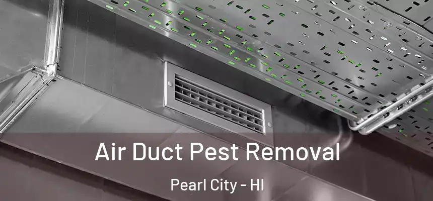Air Duct Pest Removal Pearl City - HI