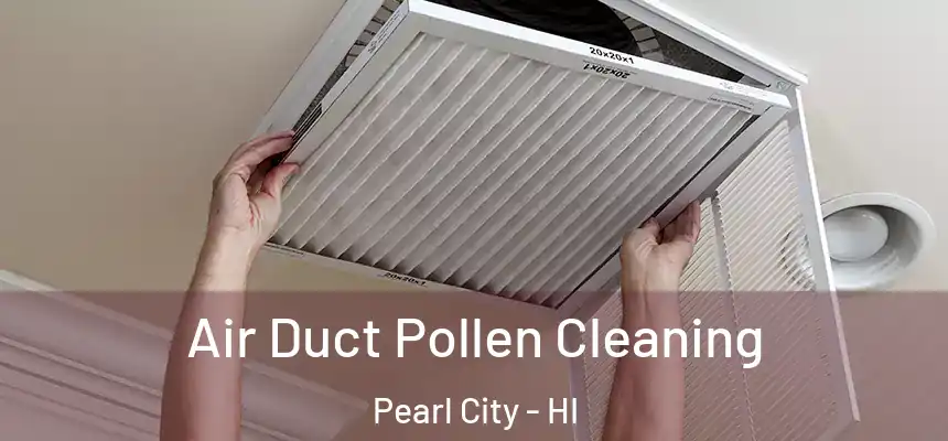 Air Duct Pollen Cleaning Pearl City - HI