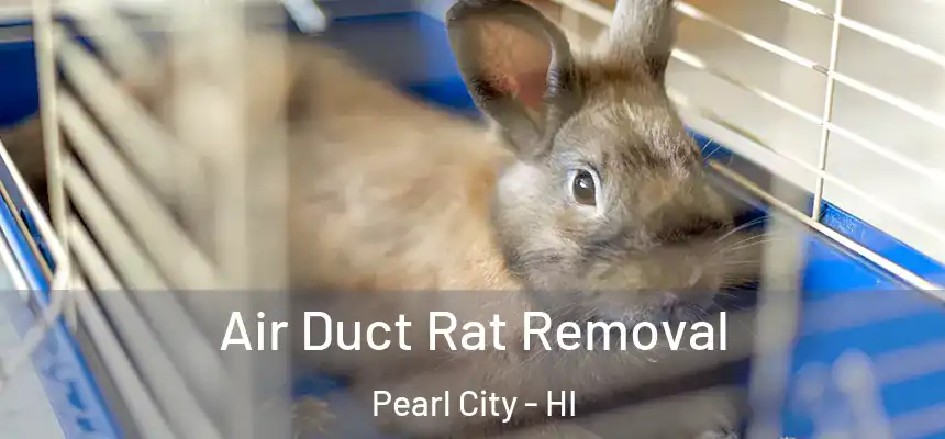 Air Duct Rat Removal Pearl City - HI