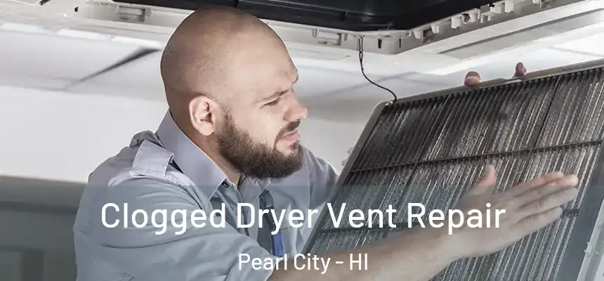 Clogged Dryer Vent Repair Pearl City - HI