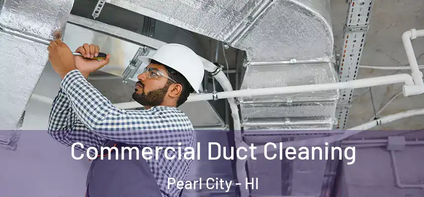 Commercial Duct Cleaning Pearl City - HI