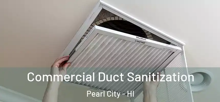  Commercial Duct Sanitization Pearl City - HI
