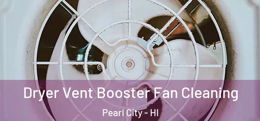  Dryer Vent Booster Fan Cleaning Pearl City - HI