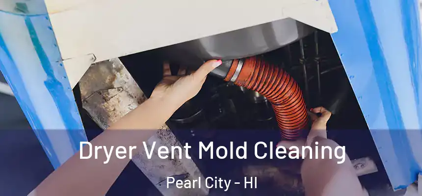  Dryer Vent Mold Cleaning Pearl City - HI