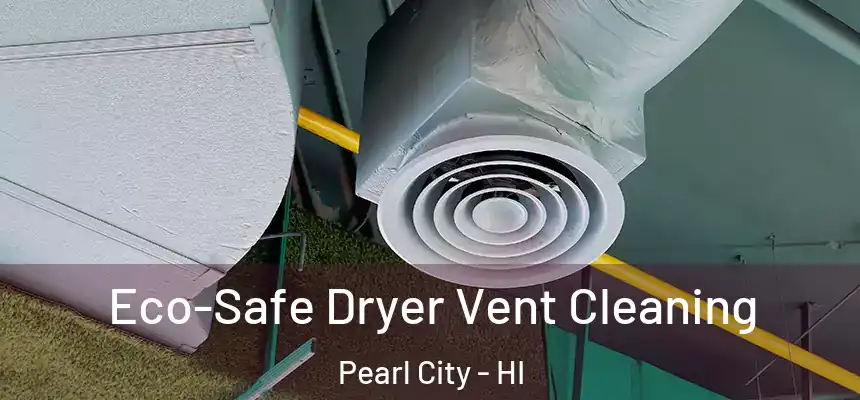 Eco-Safe Dryer Vent Cleaning Pearl City - HI