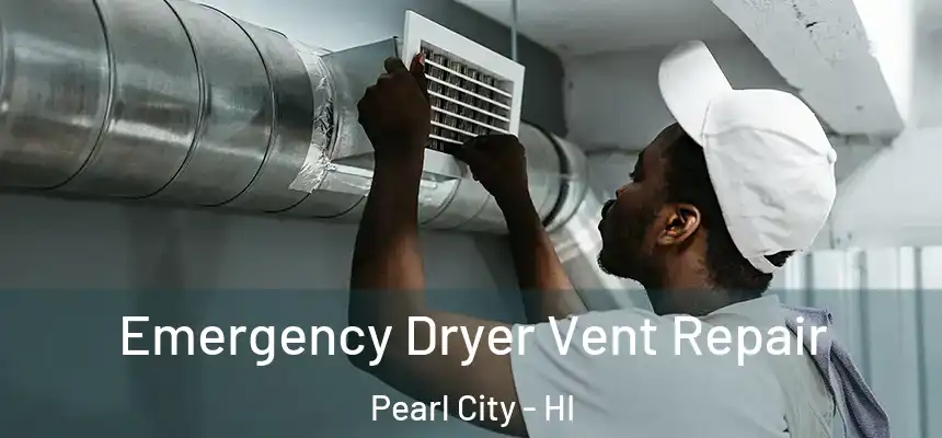  Emergency Dryer Vent Repair Pearl City - HI