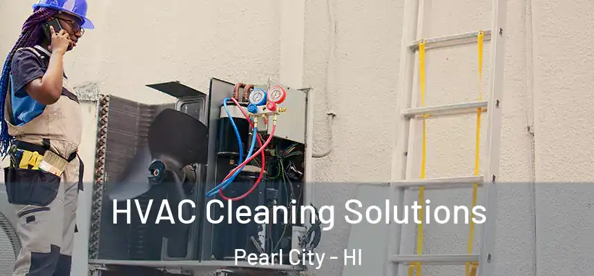  HVAC Cleaning Solutions Pearl City - HI