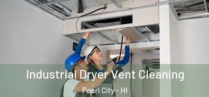  Industrial Dryer Vent Cleaning Pearl City - HI