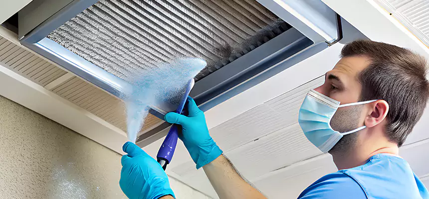 Proactive Dryer Vent & Auxiliary Duct Pollen Cleanup in Pearl City, HI