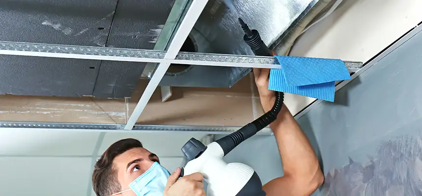 Our Air Duct Rodent Removal Services in Pearl City, HI