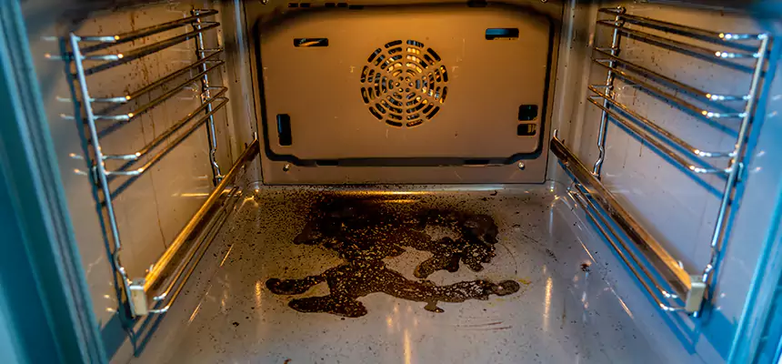 Our Dryer Vent Mold Cleaning Services in Pearl City, HI