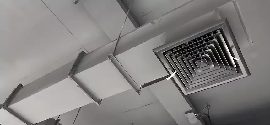 Our Rodent Droppings In Vents Services in Pearl City, HI