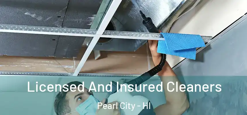  Licensed And Insured Cleaners Pearl City - HI