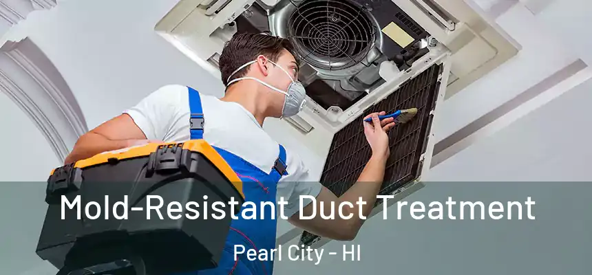  Mold-Resistant Duct Treatment Pearl City - HI