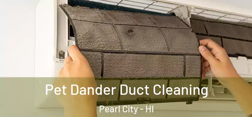 Pet Dander Duct Cleaning Pearl City - HI