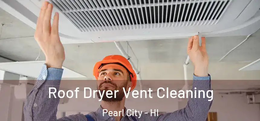 Roof Dryer Vent Cleaning Pearl City - HI