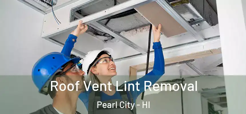  Roof Vent Lint Removal Pearl City - HI
