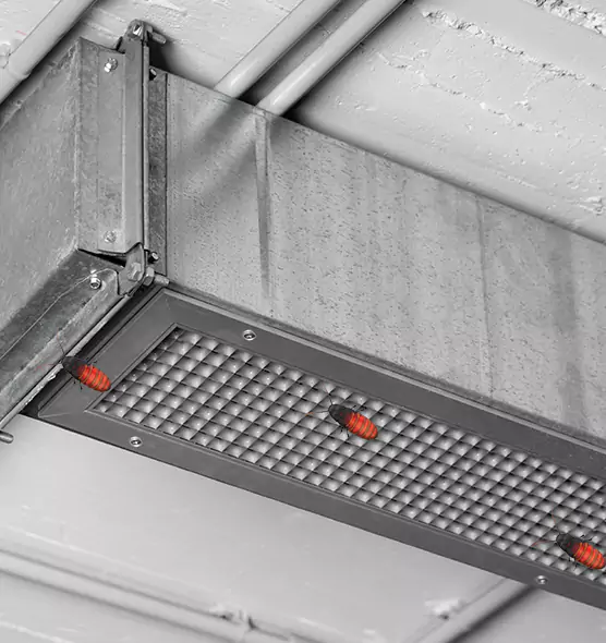 About Air Duct Cockroach Removal in Pearl City, HI