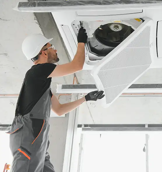 About Air Duct Rodent Removal in Pearl City, HI