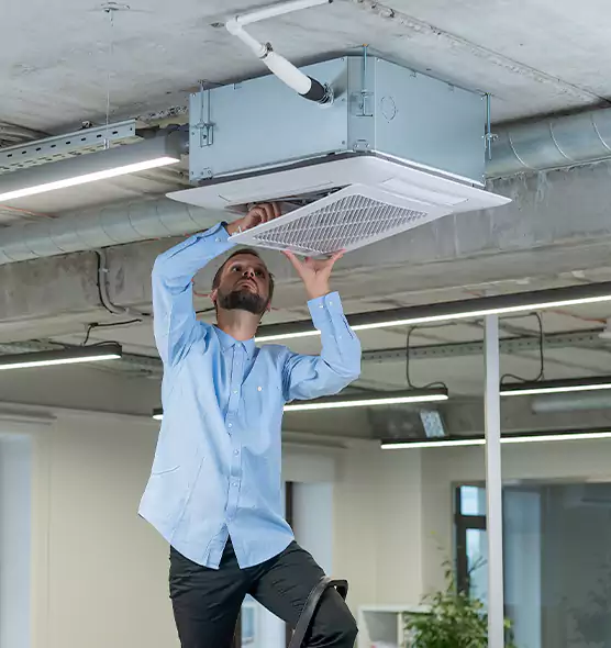 Advanced Rodent Droppings In Vents in Pearl City, HI
