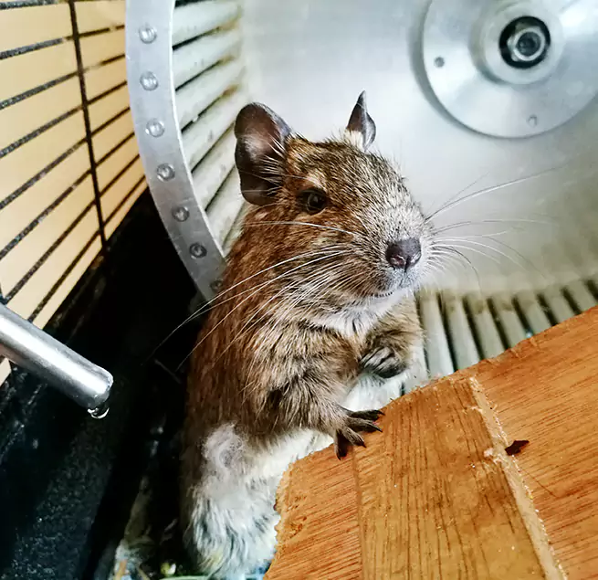 Why Homeowners & Businesses Trust Us Pearl City, HI