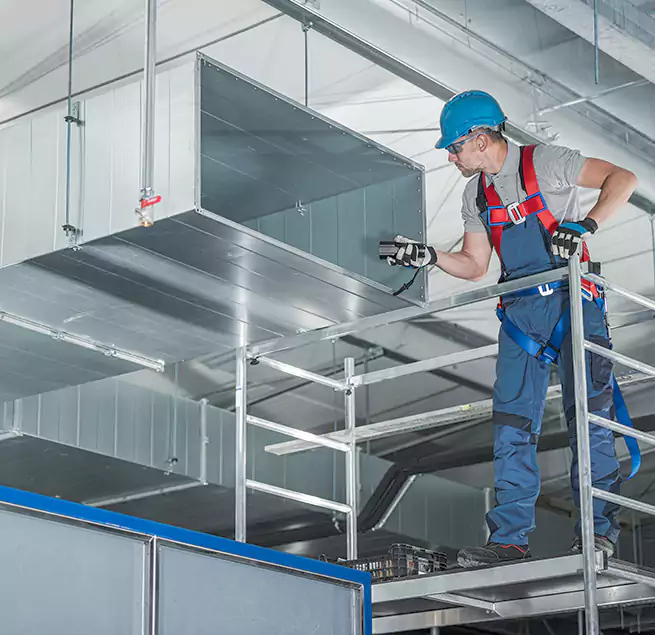 Why Homeowners & Businesses Trust Us in Pearl City, HI?