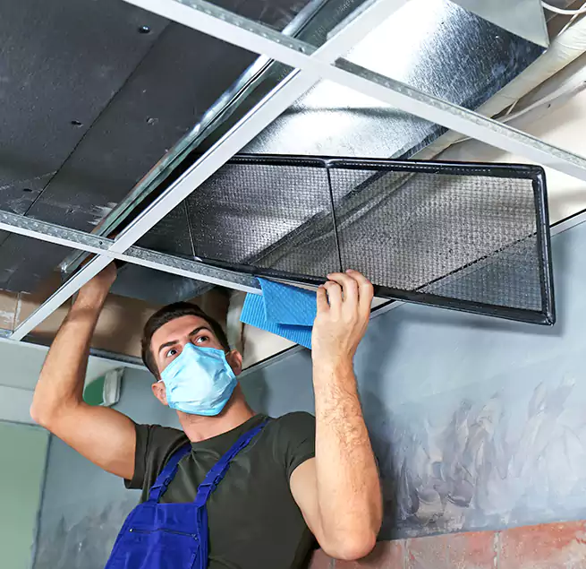 Why Homeowners Businesses Trust Us in Pearl City, HI