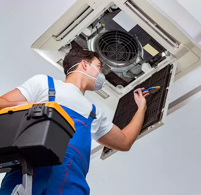 Why Homeowners & Businesses Trust Us in Pearl City, HI