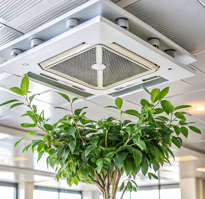 Why Homeowners & Businesses Trust Us in Pearl City, HI?