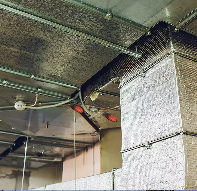 Why Homeowners & Businesses Trust Us Pearl City, HI?